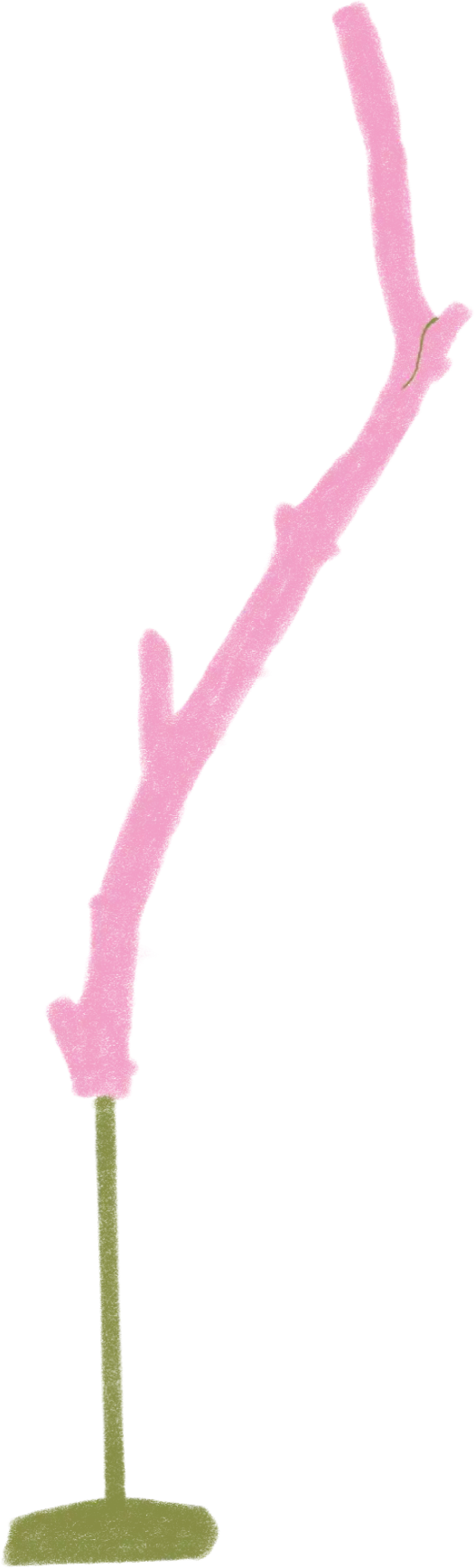 Sutured nature project