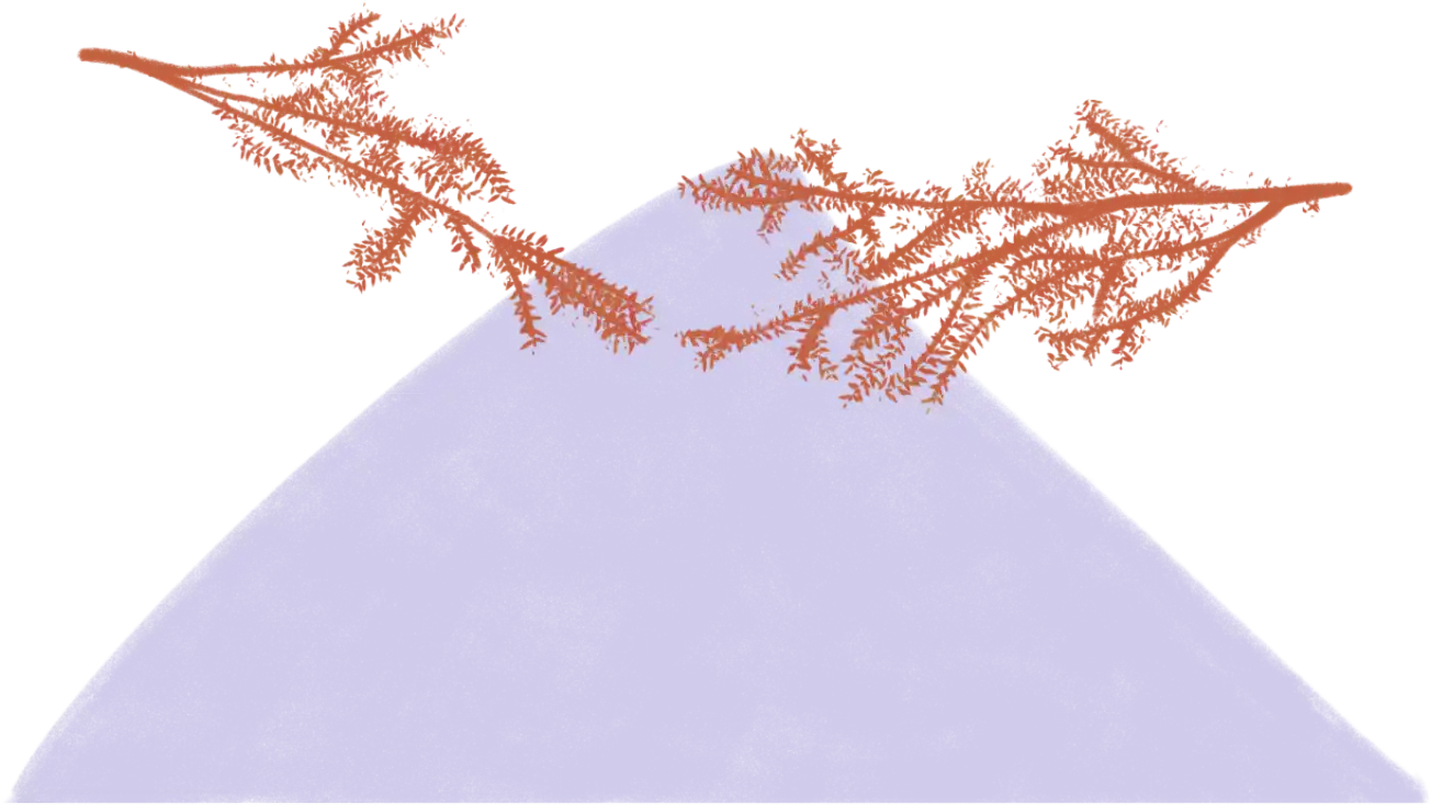 Sutured nature 2 project